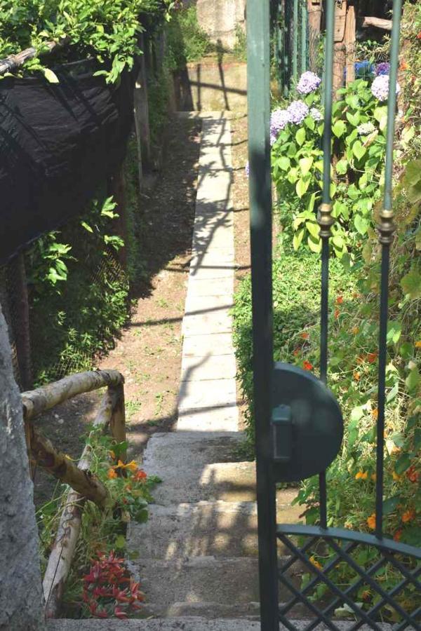 Lemon Garden House Apartman Maiori Kültér fotó