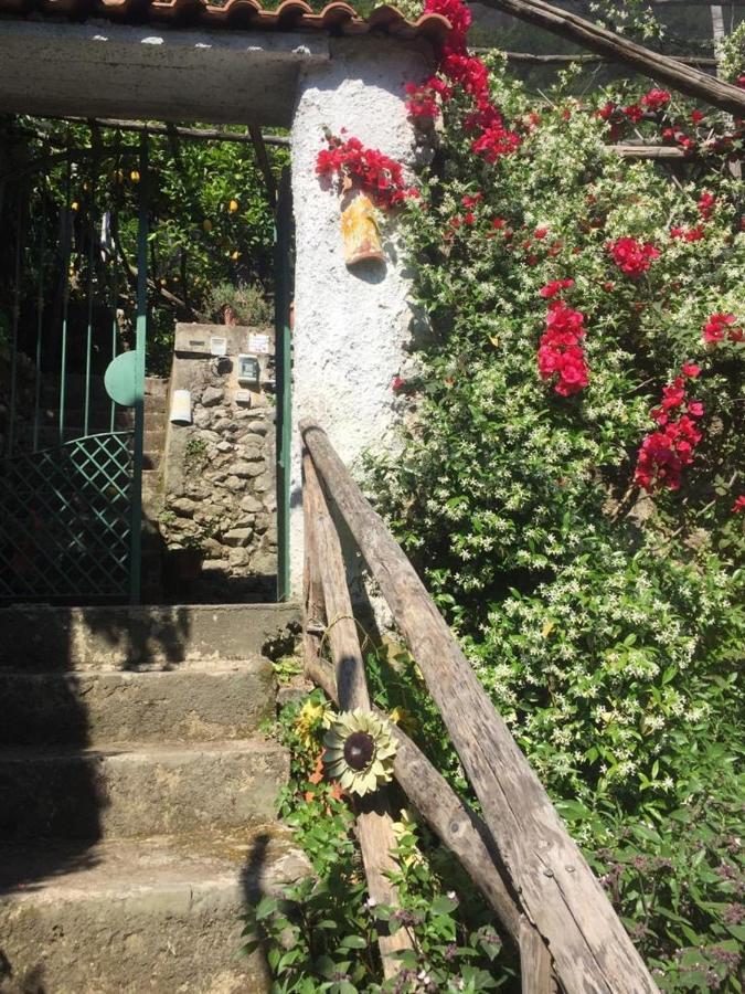 Lemon Garden House Apartman Maiori Kültér fotó